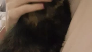armful naughty June Liu Porn Epic