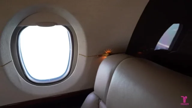 Epic slut babe CJ Miles bg